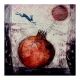 The Pomegranate Moon - Catherine Hyde