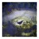  Evening's Star Glimmers - Catherine Hyde