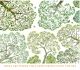 Every Tree is a Poem by Rebecca Campbell