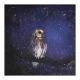 AS OLD AS NIGHT by Catherine Hyde
