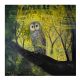  I CALL TWILIGHT TO ME by Catherine Hyde 