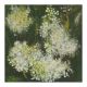 MEADOWSWEET by Catherine Hyde 