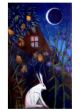 THE QUIET MOON by Catherine Hyde