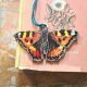 Tortoiseshell Butterfly Wooden Decoration By Hannah Longmuir