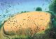 The Edge of a Cornfield Artist: Nicholas Hely Hutchinson