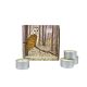 Starry Night - Owl & Woods (Owl & Woods) - Box of 9 Tealights