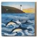 Dolphins At St Antony's Lighthouse By Holly Astle