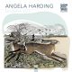ANGELA HARDING 2027 WALL CALENDAR (FLAME TREE)