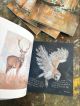 When Beasts Spoke Book By Charlotte Strawbridge