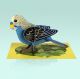 Alice Melvin Pop-Out Budgie