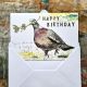 Happy Birthday [You’re All Kinds of Lovely] – Wood pigeon by Hannah Longmuir