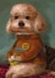 A Very Good Boy By Alison Friend