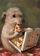 A Pizza Lover By Alison Friend (one dog)