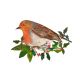 Christmas Robin Birch Plywood Decoration By Clare O'Neill