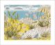 Summer Shore by Angie Lewin (Originally exhibited at 'Editions & Objects' at Yorkshire Sculpture Park)