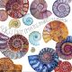 Ammonites (2023) by Sam Cannon
