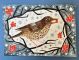 Song Thrush with Berries Artist: Amy Husband AGBI CHRISTMAS CARD PACK 