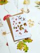 First Signs of Autumn Card By Angela Hennessy