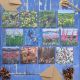 Hedgerow Collection – 12 Cards By Driftwood Designs