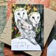 I Love Doing Life With You – Barn Owls Love Card by Hannah Longmuir