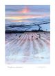 Cold afternoon with jackdaws by Jeremy Paul