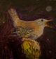 Jenny wren By Catherine Hyde