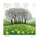 Daffodil Hill By Jane Peart