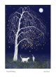 Moonlit meeting by Jane Peart