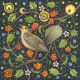 Ode to a Nightingale Kate Green