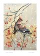 Winter waxwings by Lorraine Auton