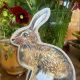 Large Custom Cut Brown Hare Postcard By Clare O'Neill Artworks