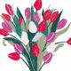Tulip Bunch Liza Saunders