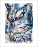 Winter Woodpecker by Mark Hearld