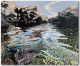 Rockpool - Hazel McNab