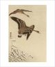 Two White Fronted Geese Flying in Snow by Ohara Koson