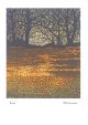 Russet by Phil Greenwood