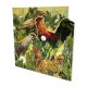SHELLY PERKINS DIE-CUT CHOOKS GREETINGS CARD