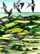 Colmers Hill – And just be happy (now and then) by Sam Cannon