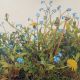 Verge Weeds by Christopher James