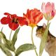 Cat Amongst Tulips Dame Elizabeth Blackadder RA