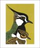 Peewit and Son by Robert Gillmor