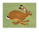 Hurry Hare
Linoprint by Robert Gillmor