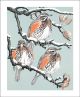 Redwings
by Robert Gillmor