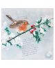 Robin's Watch By Charlotte Strawbridge