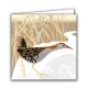 Water Rail and Frozen Pond by Rachel Hudson