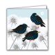 Starlings, Frosty Thistles by Rachel Hudson
