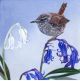 The wren and the bluebells by Sam Cannon Art