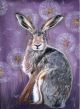Purple Hare by Sam Cannon Art