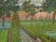 CEDRIC MORRIS
Wartime Garden
