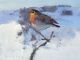 Fred Cuming Robin in the Winter Snow